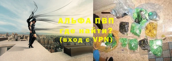 гидра Алексин