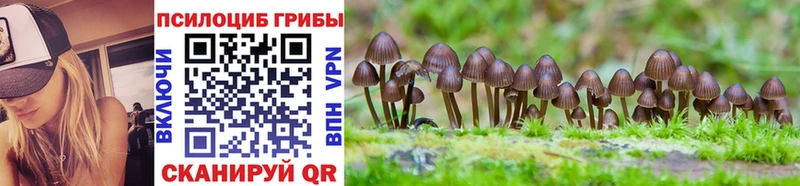 Псилоцибиновые грибы MAGIC MUSHROOMS  Купить где  Малоархангельск 