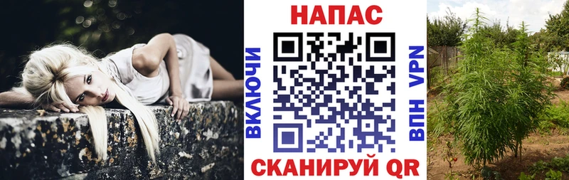 Каннабис семена  Купить где  Малоархангельск 